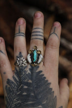 Load image into Gallery viewer, Coyote tooth ring size 9.25